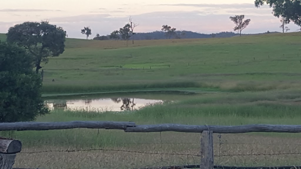 Jerakala Beef | 20024 Burnett Hwy, Mundubbera QLD 4626, Australia | Phone: (07) 4165 4909