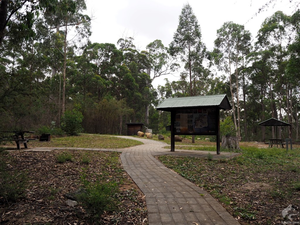 Myanba Gorge Picnic Area & Walking Track | Myanba Gorge Walking Track, Coolangubra NSW 2550, Australia | Phone: (02) 6458 5900