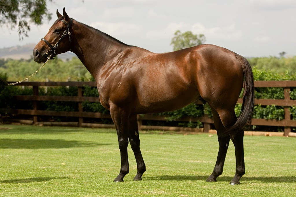 NSW Thoroughbred Breeders Office | Randwick Way, Scone NSW 2337, Australia | Phone: (02) 5504 3818