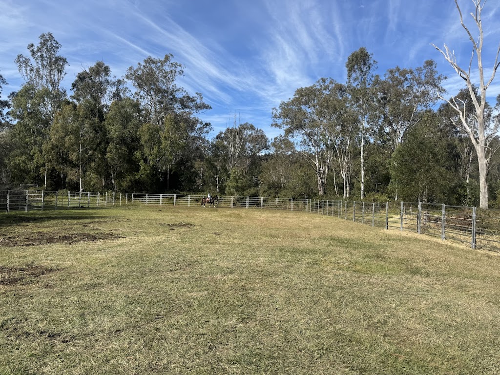 Cedar Gully Olives Mulgowie | 9 Cedar Gully Ln, Mulgowie QLD 4341, Australia | Phone: 0400 068 512