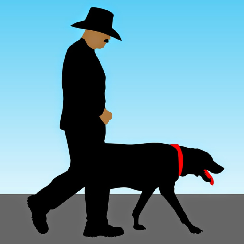 Mr Dog Walker |  | 94 Hoddle Ave, Campbelltown NSW 2560, Australia | 0419971665 OR +61 419 971 665