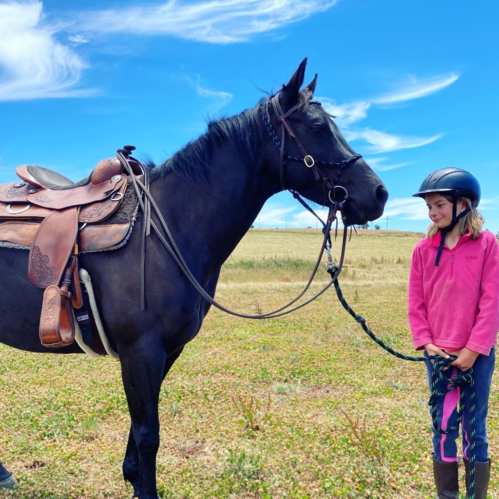 Anroc Quarter Horse Stud | 8108 Bass Hwy, Sassafras TAS 7307, Australia | Phone: 0433 395 753