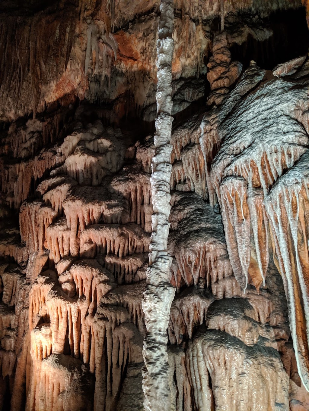 Jersey Cave | tourist attraction | Jersey Cave Walking Track, Yarrangobilly NSW 2720, Australia | 0264549597 OR +61 2 6454 9597