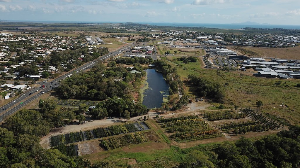 Mackay Tree Farm | 656 Mackay Bucasia Rd, Rural View QLD 4740, Australia | Phone: 0417 775 725