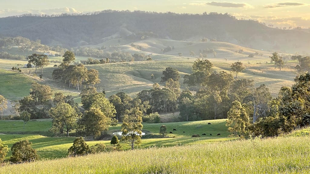 Tallawalla | 172 Hanleys Creek Rd, Tabbil Creek NSW 2420, Australia | Phone: 0419 545 670