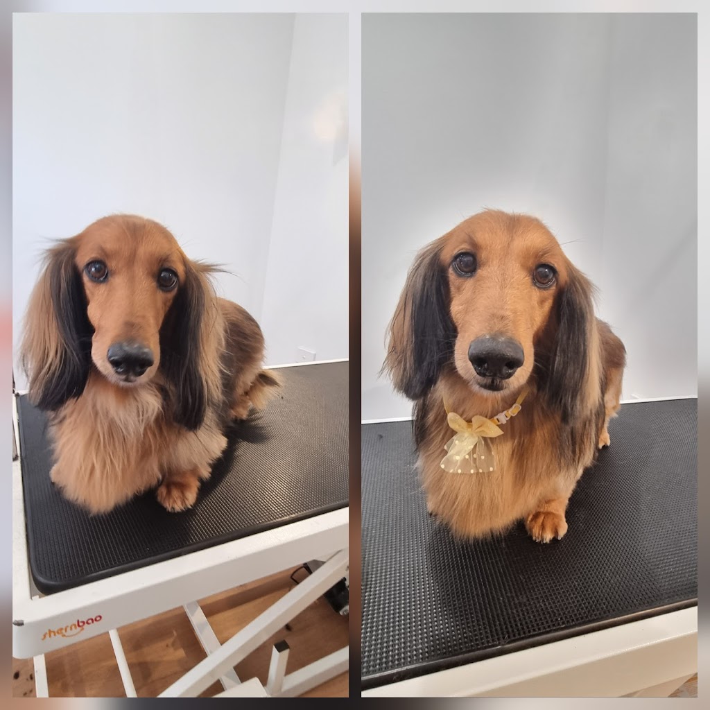 Alpine Doggy DTailing | 2 Mathews St, Myrtleford VIC 3737, Australia | Phone: 0456 698 455