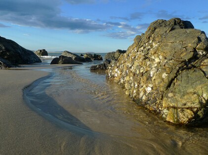 Beaches - Sawtell | clothing store | 2/20 First Ave, Sawtell NSW 2452, Australia