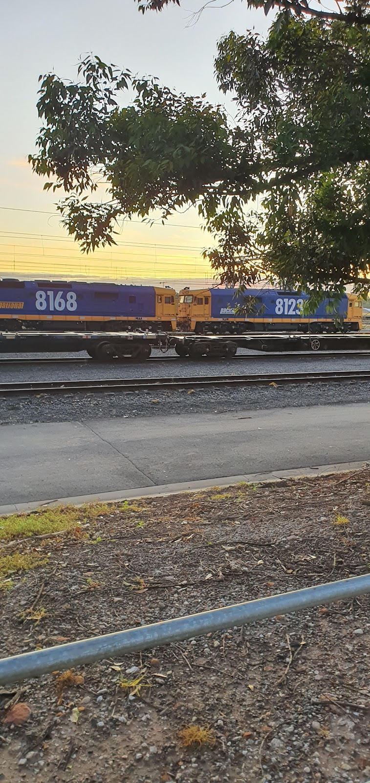 Pacific National Enfield Yard | 1 Locomotive Place, Off, Wentworth St, Greenacre NSW 2190, Australia | Phone: (02) 8745 4317