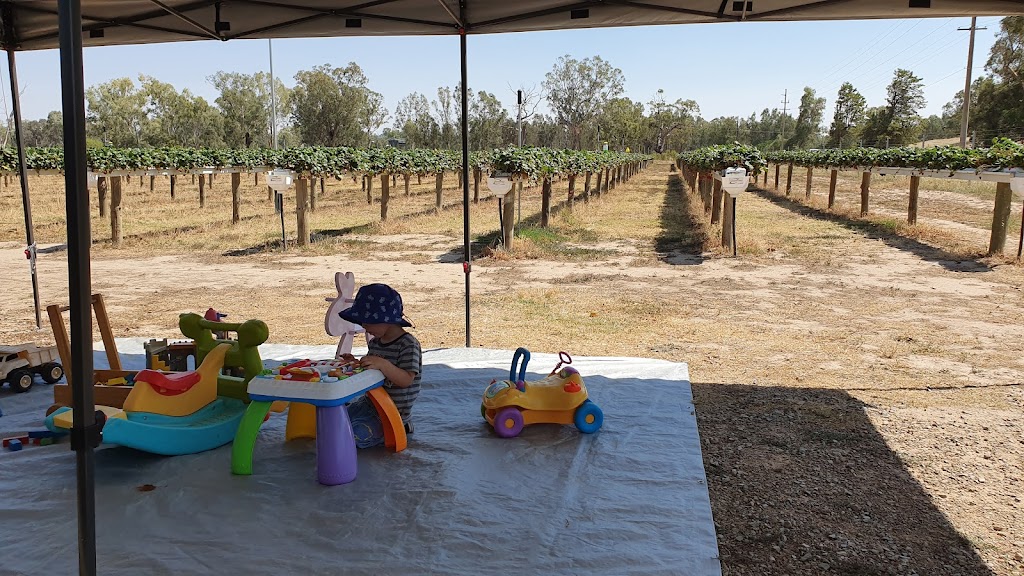 Bidgee Strawberries And Cream | Billagha St, Wagga Wagga NSW 2650, Australia | Phone: 0428 968 909