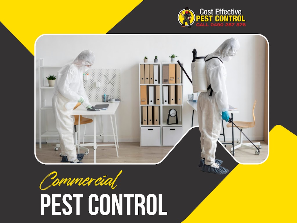 Cost Effective Pest Control | 117 Lake Entrance Rd, Barrack Heights NSW 2528, Australia | Phone: 0490 287 876
