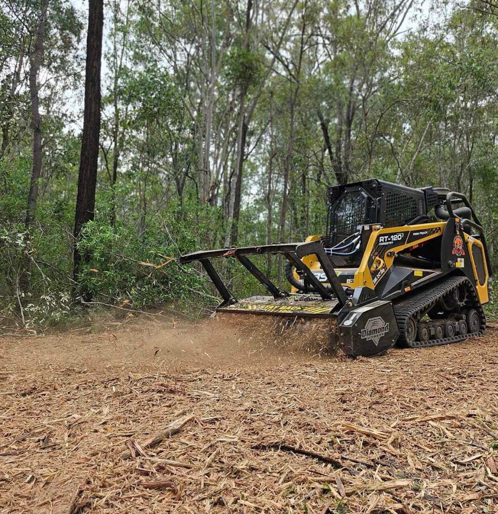 Protrax Vegetation Management | Twin View Rd, Elimbah QLD 4516, Australia | Phone: 0405 816 527
