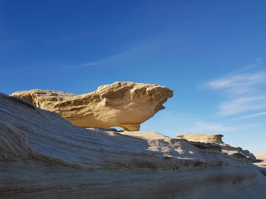 Cape Baily Track | Kurnell NSW 2231, Australia | Phone: (02) 9668 2010