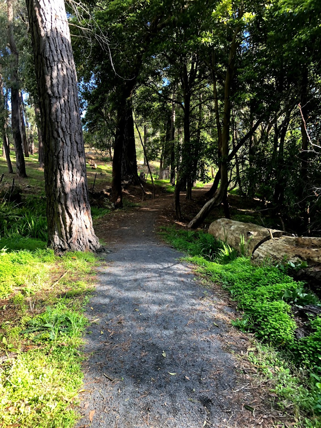 Water Race Trail | park | Water Race Trail, Mount Evelyn VIC 3796, Australia