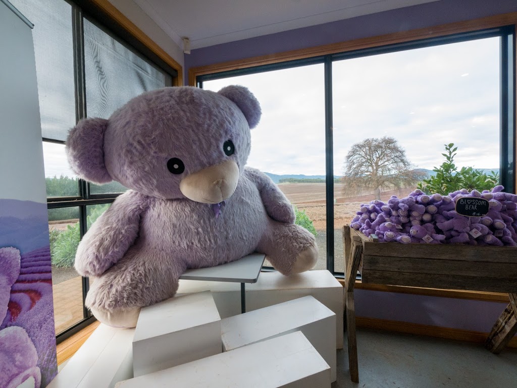 Bridestowe Lavender Estate | 296 Gillespies Rd, Nabowla TAS 7260, Australia | Phone: (03) 6352 8182