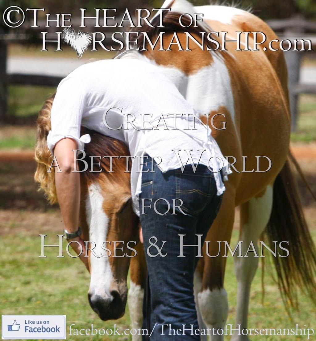 The Heart of Horsemanship | health | 37 Millbrook Cl, Jarrahdale WA 6124, Australia | 0414221302 OR +61 414 221 302