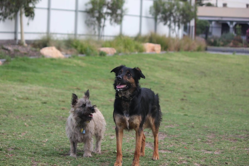 Adelaide Brighton Community Dog Park | park | LOT 119 Alfred St, Peterhead SA 5016, Australia