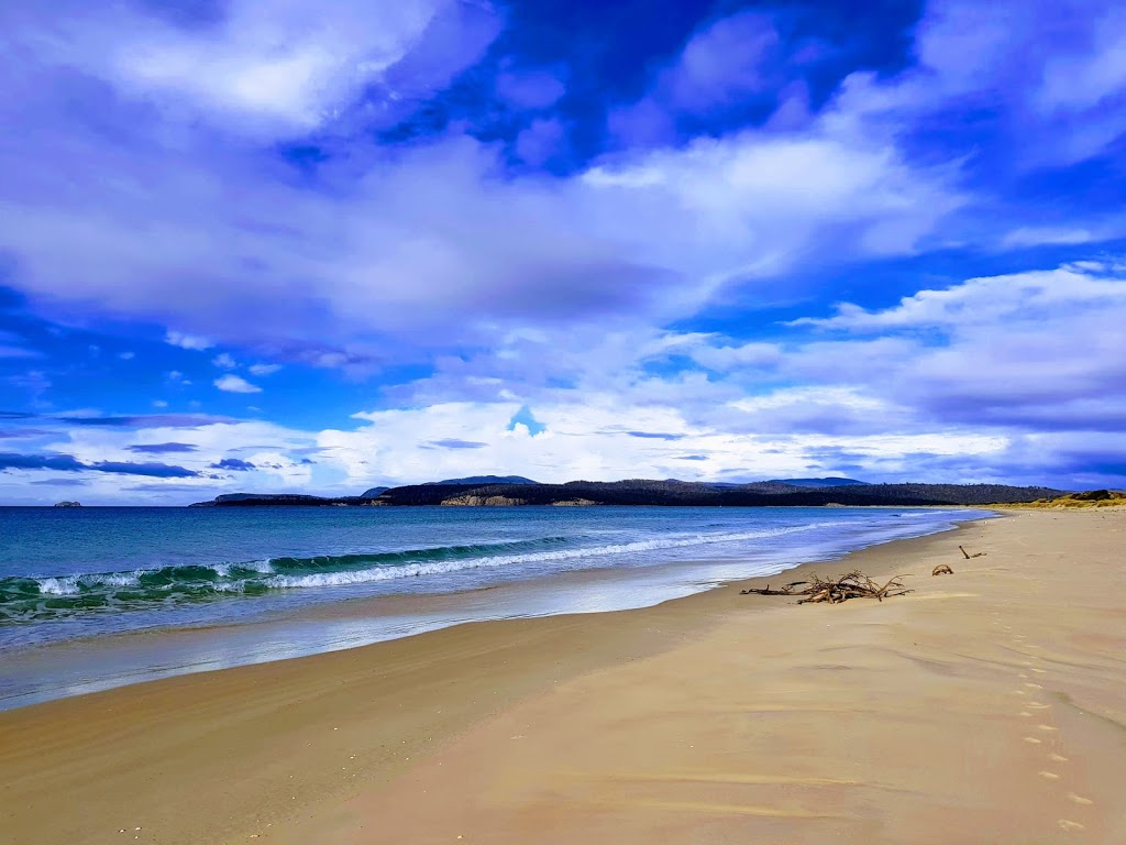 Marion Bay Viewing Platform | park | 597 Marion Bay Rd, Marion Bay TAS 7175, Australia