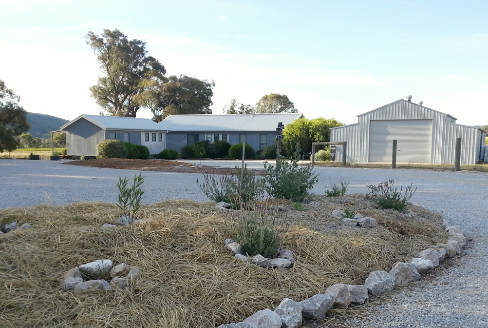 SHORT SHEEP Micro-Winery | lodging | 47 Buckaroo Ln, Buckaroo NSW 2850, Australia | 0420299999 OR +61 420 299 999