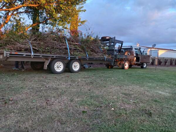 Sweeter with Honey | 779 Murphys Creek Rd, Upper Lockyer QLD 4352, Australia | Phone: 0493 241 246