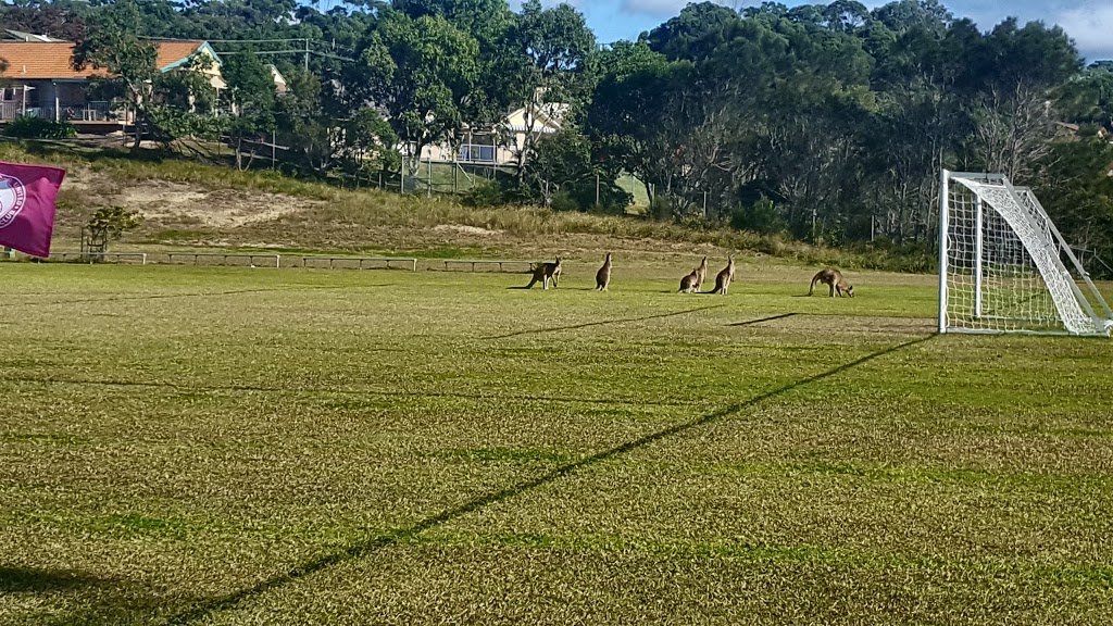 Woolgoolga United Football Club | High St, Woolgoolga NSW 2456, Australia | Phone: 0418 429 189