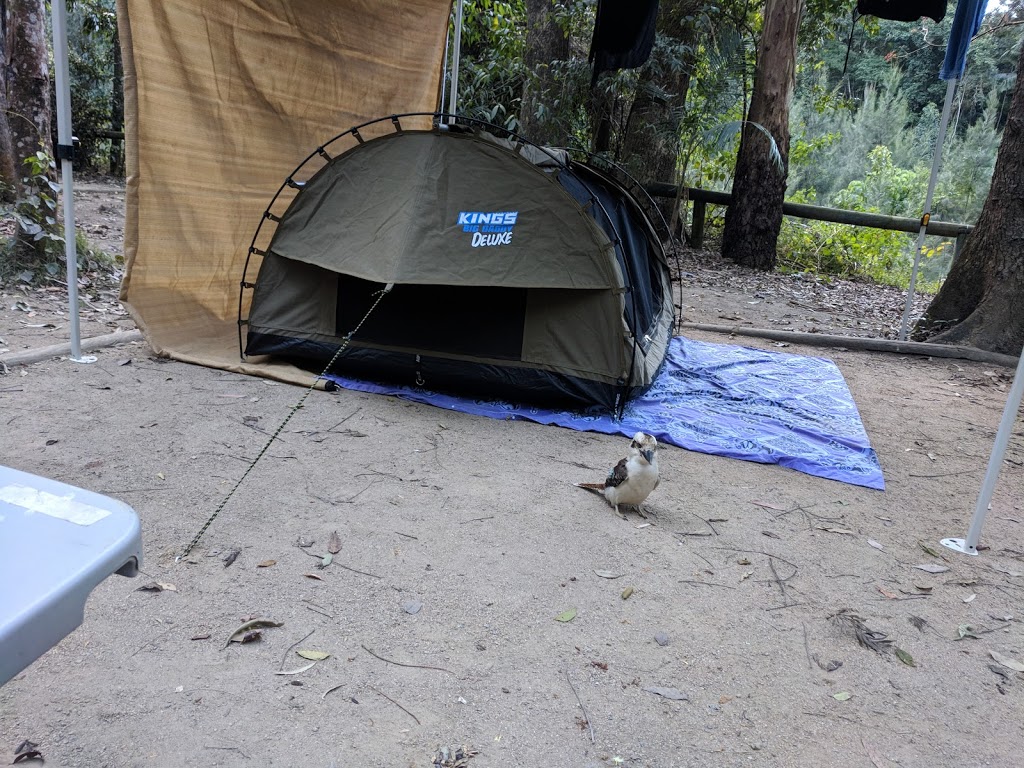 Booloumba Creek Camping Area 1 | campground | LOT 274 Booloumba Creek Rd, Cambroon QLD 4552, Australia | 137468 OR +61 137468