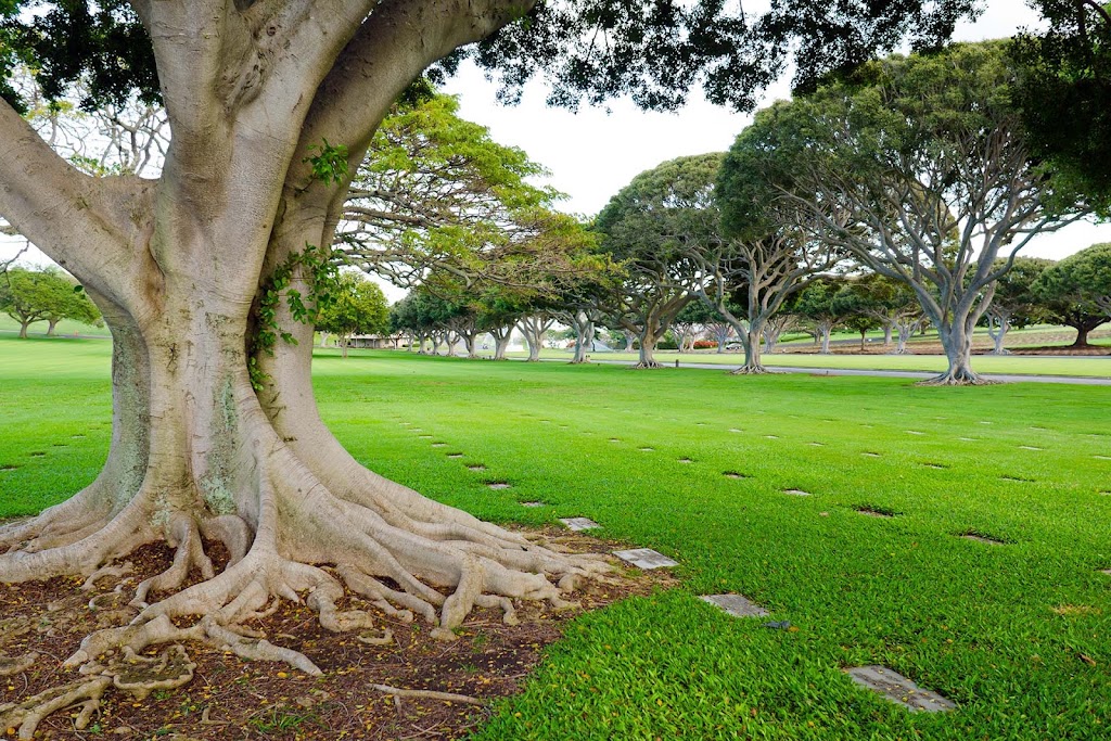 Norwalk Burial Services Australia | 47 Highlands Rd, Seymour VIC 3661, Australia | Phone: (03) 5799 0083