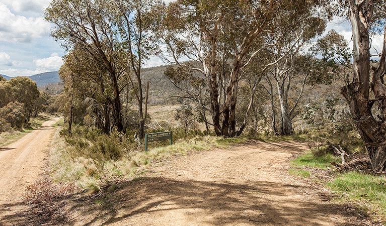 Old Snowy campground | campground | Pockets Saddle Rd, Tantangara NSW 2629, Australia | 0269477025 OR +61 2 6947 7025