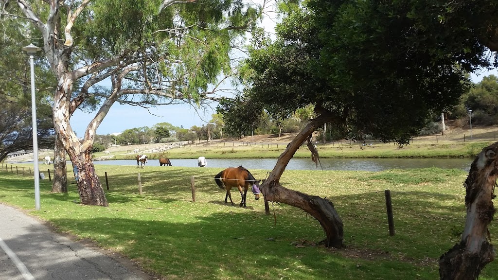 Nancy Fischer Reserve | park | Hurcombe St, West Beach SA 5024, Australia