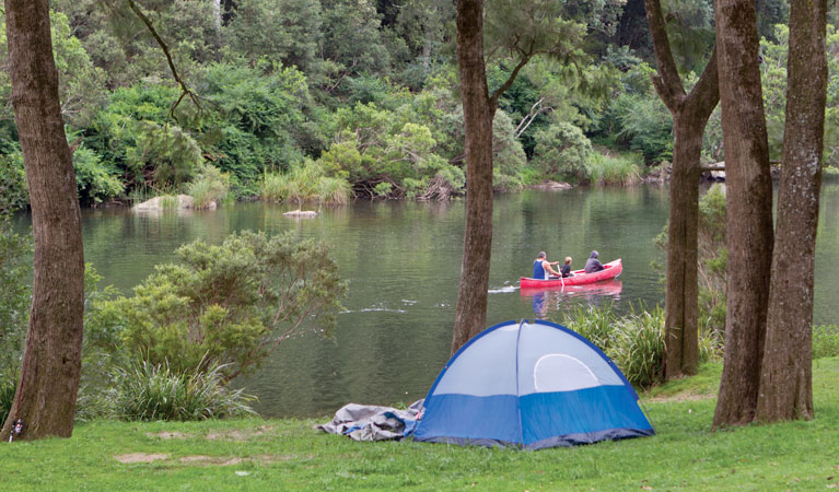 Platypus Flat campground | campground | Platypus Flat Rd, Wild Cattle Creek NSW 2453, Australia | 1300072757 OR +61 1300 072 757