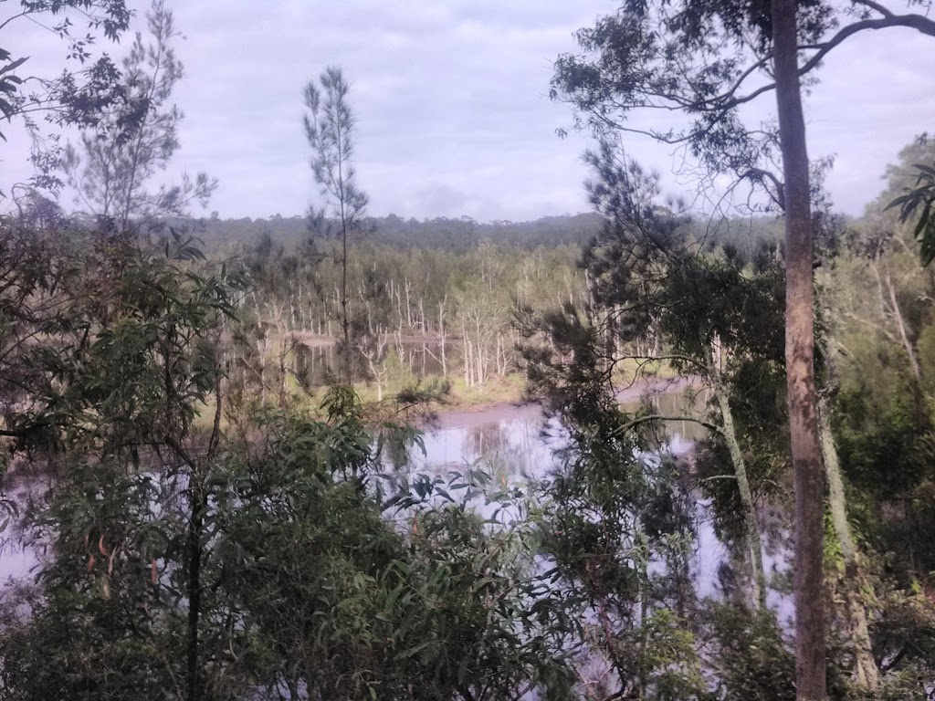 Bodalla State Forest | Tinpot NSW 2546, Australia