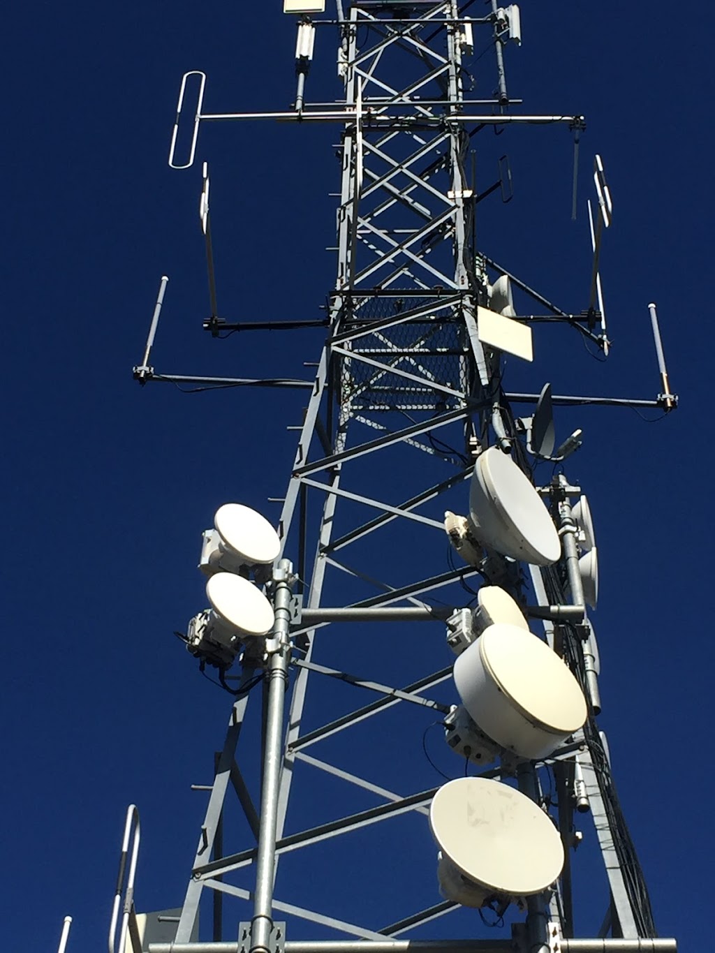 Astral Communication Towers |  | Guy Fawkes Hill, Mount Rumney TAS 7071, Australia | 0459033497 OR +61 459 033 497