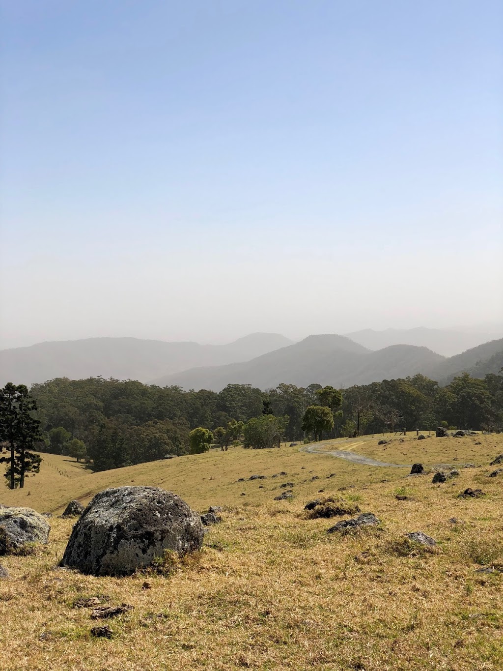 Lamington National Park | park | OReilly QLD 4275, Australia