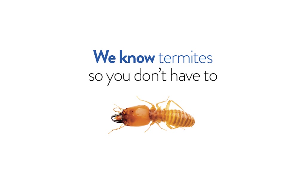 Termitrust Pest Control Bathurst | home goods store | 29/30 Corporation Ave, Robin Hill NSW 2795, Australia | 0418742440 OR +61 418 742 440