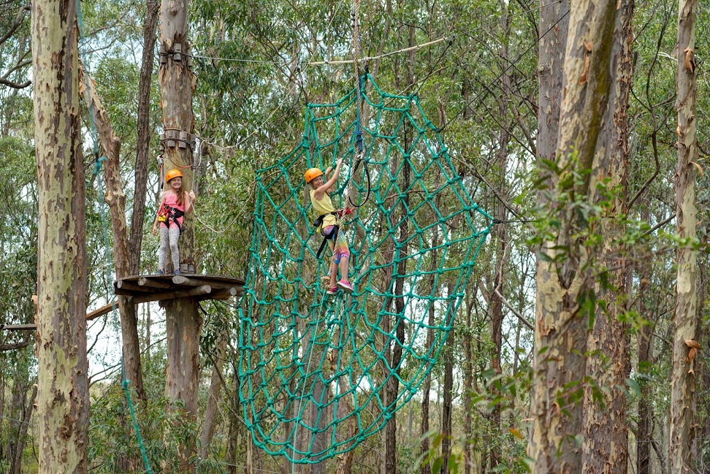 TreeTops Central Coast | Ourimbah State Forest, 1 Red Hill Rd,, Wyong Creek NSW 2259, Australia | Phone: 0455 334 945