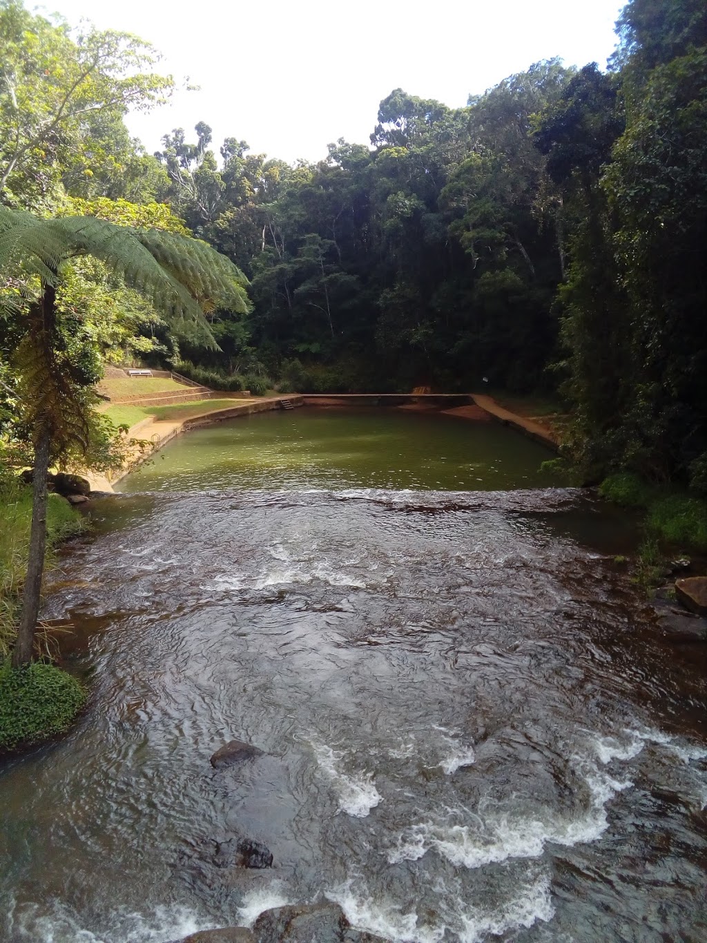 Malanda Falls Conservation Park | Malanda QLD 4885, Australia