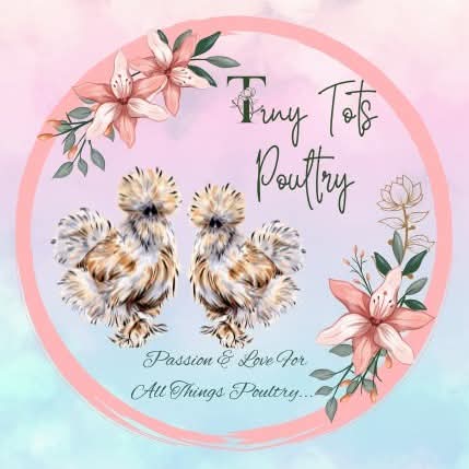 Tiny Tots Poultry | 1 high street, Port Macquarie NSW 2444, Australia | Phone: 0455 220 814