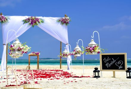 Gold Coast Wedding Celebrant Pat Mac Anally | 2 Hudson Ct, Benowa QLD 4217, Australia | Phone: 0409 120 350