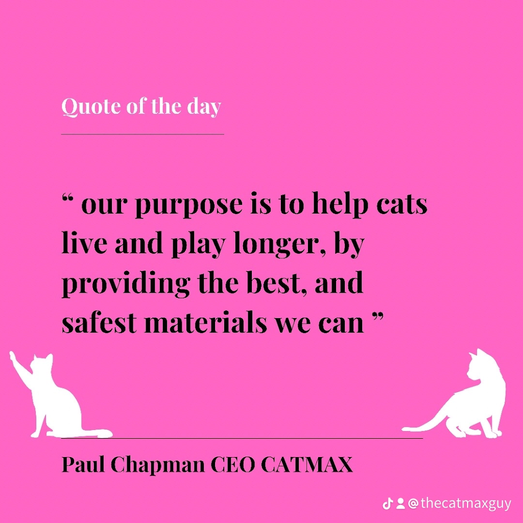 Cat Max Clear Net Enclosures | 11 Sandalwood Dr, Lammermoor QLD 4703, Australia | Phone: 1300 306 605