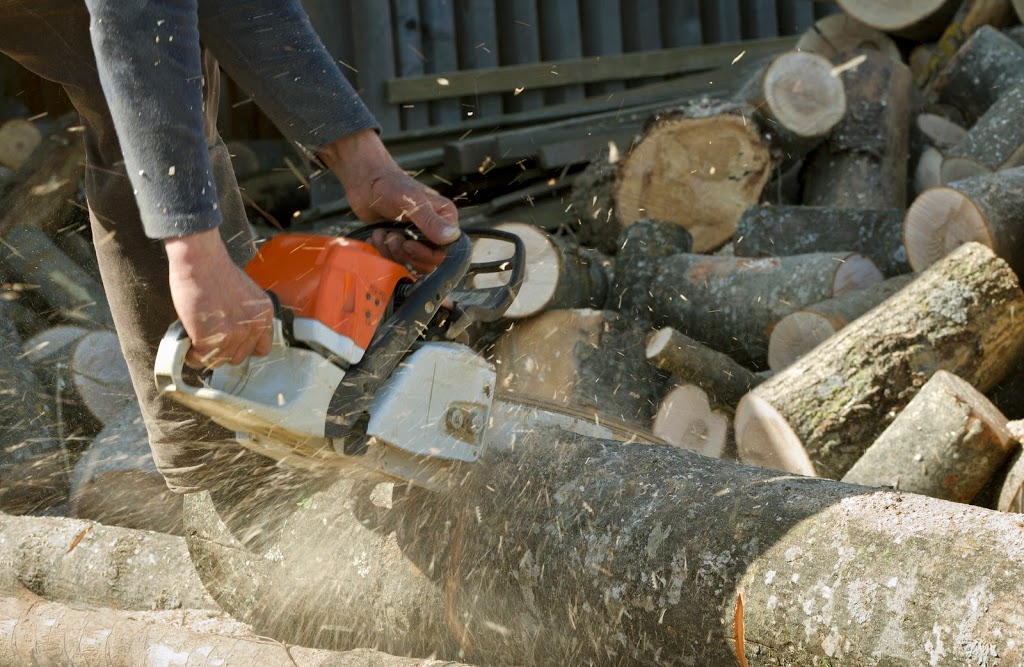 Tree Removal Colebee | Tree Lopping, Tree Trimming, Land Clearing, Arborist, Colebee NSW 2761, Australia | Phone: 0480 024 711