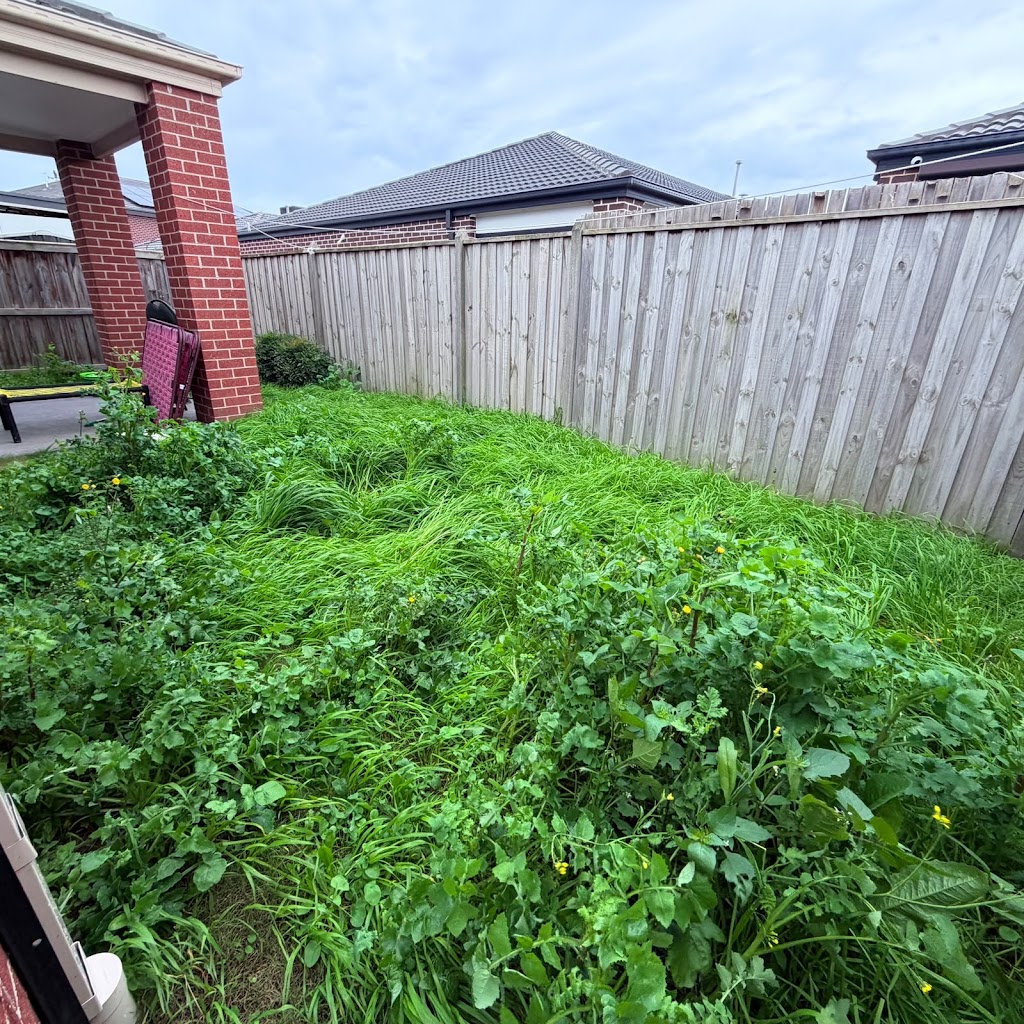 Tidy Up Cleaning VIC | 36 Silver Gum Dr, Pakenham VIC 3810, Australia | Phone: 0420 741 582
