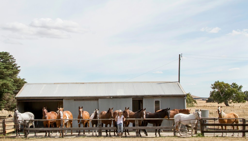 Woodlands Trail Riding (Riding Location) | Somerton Rd, Greenvale VIC 3059, Australia | Phone: 1300 966 352