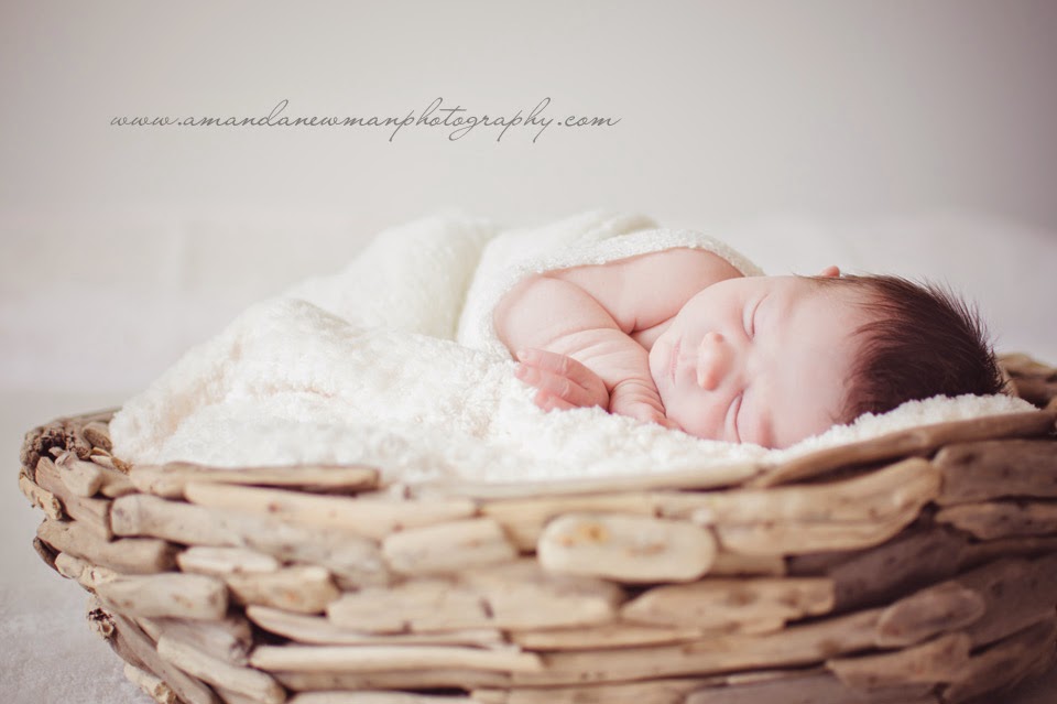 Amanda Newman Photography | 1a Hume St, Pittsworth QLD 4356, Australia | Phone: 0400 668 112