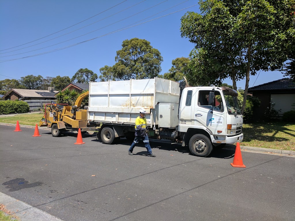 WA Regional Tree Services | 2725 Lilydale Rd, Chidlow WA 6556, Australia | Phone: 0406 961 257