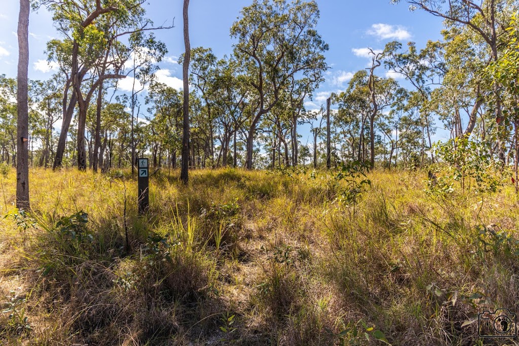 Wet Tropics Great Walk (Blencoe Falls Section) - Cashmere Kirrama Rd ...