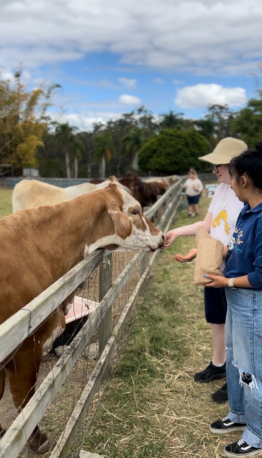 Compassion Connect | 1374 Mount Cotton Rd, Burbank QLD 4156, Australia | Phone: 0438 578 883