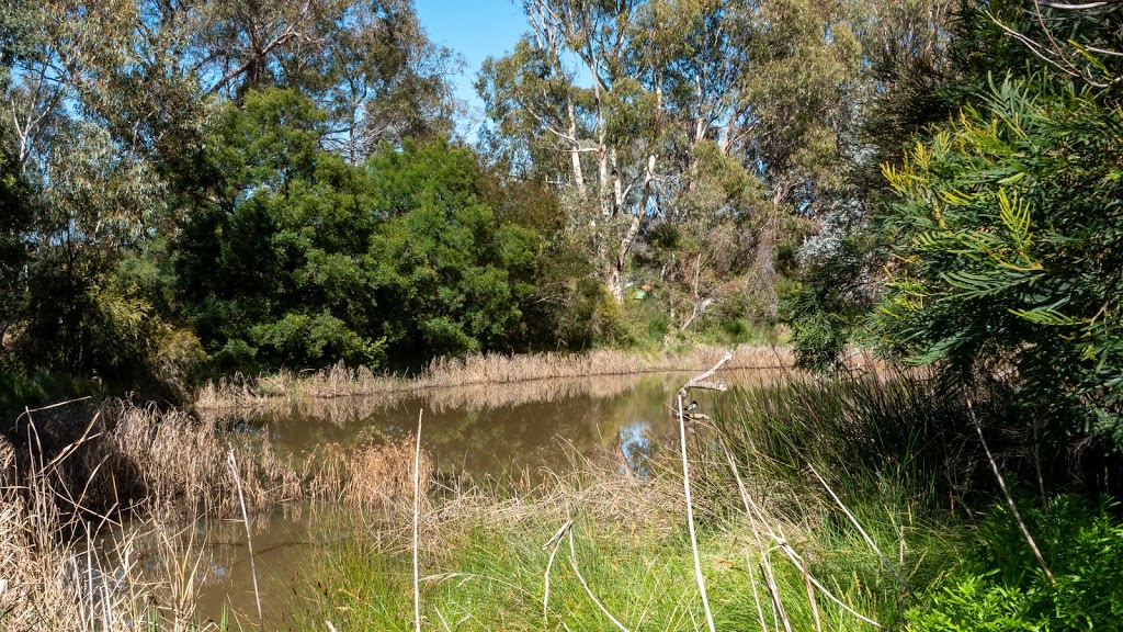 Banksia Street Wetland | park | 15 Banksia St, OConnor ACT 2602, Australia