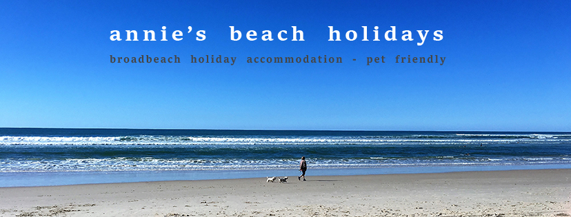 Annies Beach Holidays | 124 Mallawa Dr, Palm Beach QLD 4221, Australia | Phone: 0417 996 100