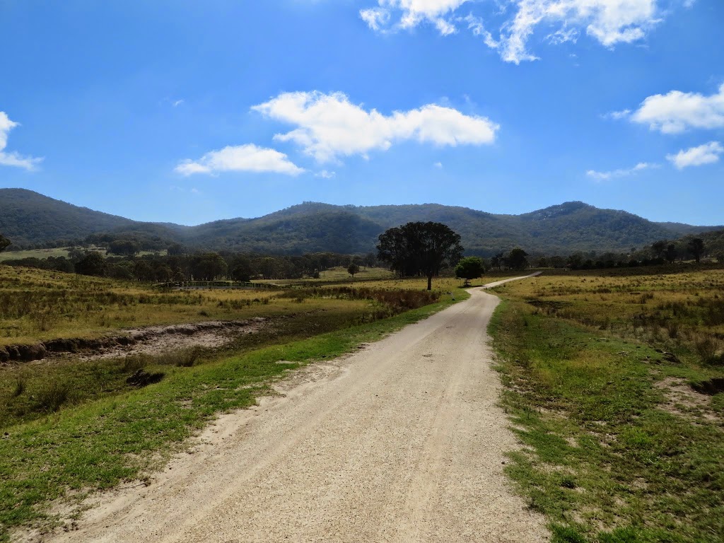 Baroola Pastoral Co. | 203 Cottesbrook Rd, Sandy Flat NSW 2372, Australia | Phone: (02) 6737 3604