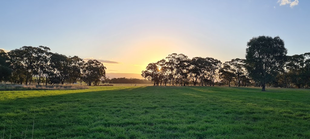 Bellview Connection Equine Assisted Therapy & Counselling | 258 Glue Pot Rd, Pomonal VIC 3381, Australia | Phone: 0429 353 680