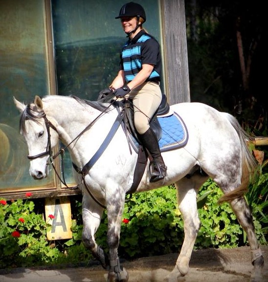 Allison Wright Equestrian | 475 Raaen Rd, Bracalba QLD 4512, Australia | Phone: 0468 585 529